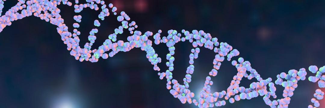Cientistas estudam mutação de gene TCF4 e tentam criar tratamento para Síndrome de Pitt Hopkins