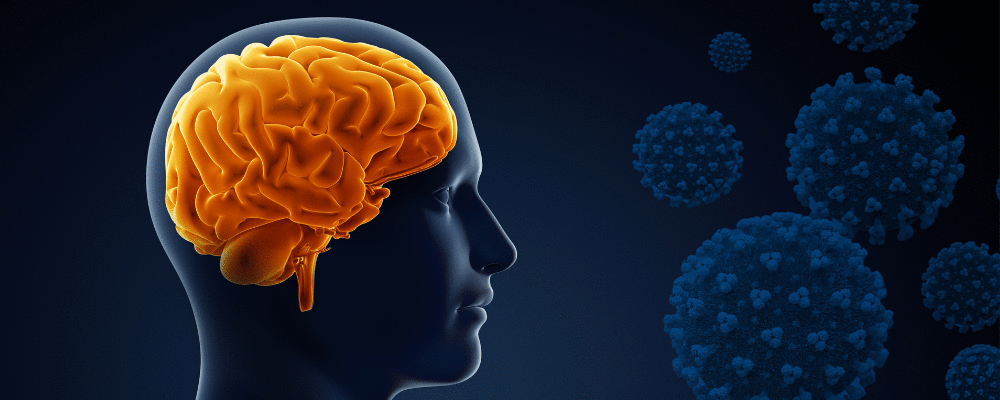 Como o Sars-CoV-2 afeta o cérebro: implicações neuropsiquiátricas