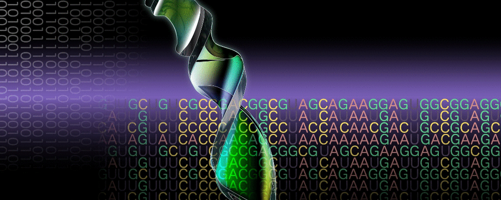 Busca de mutações no exon1 do gene KRAS de carcinoma de vesícula biliar: prognóstico baseado em análise de DNA
