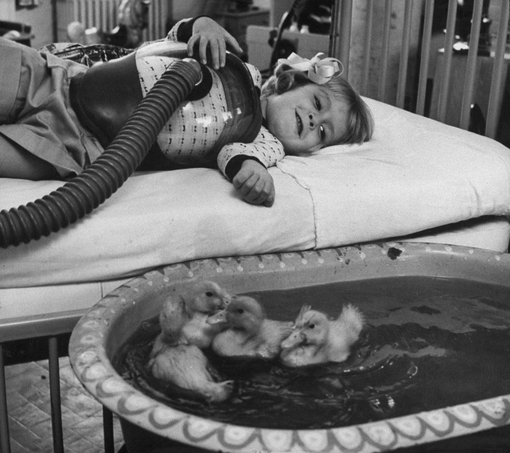 Animais fazem um hospital feliz! Fotos clássicas de bichos ajudando crianças
