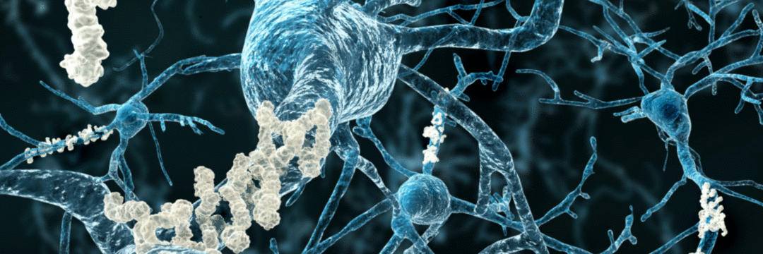 Molécula produzida pela microbiota intestinal é relacionada à Doença de Alzheimer