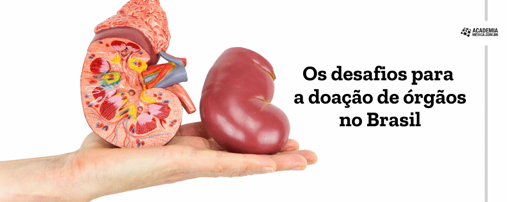 Os desafios para a doação de órgãos no Brasil