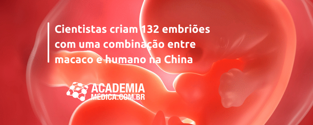 Cientistas criam 132 embriões com uma combinação entre macaco e humano na China
