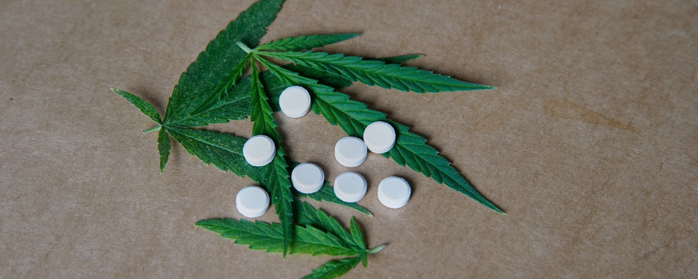 ANVISA aprova a comercialização de 3 produtos à base de cannabis