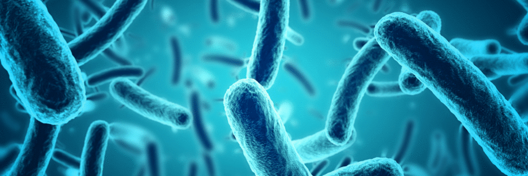 Infecções por Micobacterium chimaera
