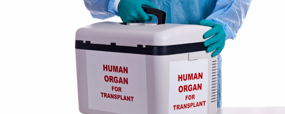 Pesquisadores elaboram órgão universal  que permite transplante com tipos sanguíneos incompatíveis