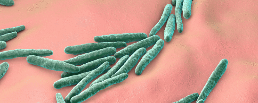 OMS divulga atualizações sobre uso de testes cutâneos para identificar  tuberculose