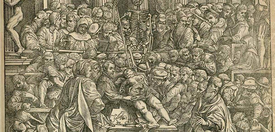 Os primeiros estudos anatômicos: Vesalius