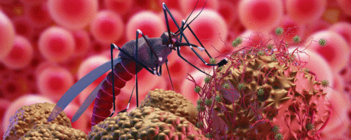 Malária: Brasil define como meta zerar casos da doença no país até 2035