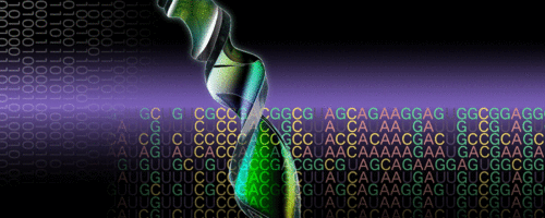 Busca de mutações no exon1 do gene KRAS de carcinoma de vesícula biliar: prognóstico baseado em análise de DNA