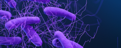 Risco de nova pandemia causada por água contaminada com antibióticos e superbactérias é real, declara Pnuma