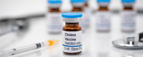 Nova categoria de vacina contra a cólera pode ter imunização mais duradoura