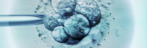 Estudo relaciona gestações conquistadas após transferência de embriões congelados e distúrbios hipertensivos