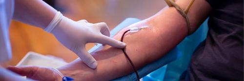 Plataforma conecta bancos de sangue a doadores e combate o desperdício