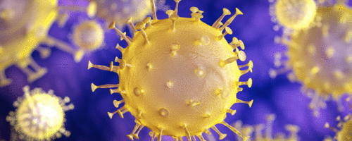 Nomenclatura das variantes do vírus Sars-Cov-2: um resumo do que existe até aqui