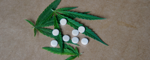 ANVISA aprova a comercialização de 3 produtos à base de cannabis